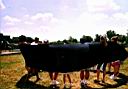 07_london_piknik_w_parafii.jpg